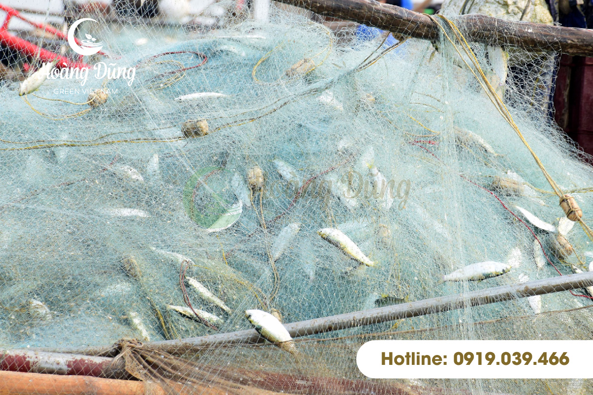 các loại lưới bắt cá