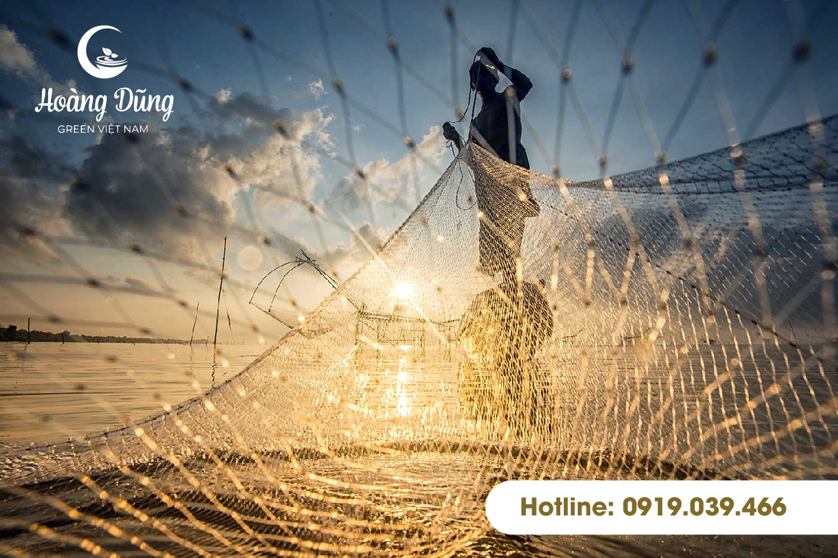công dụng lưới bắt cá