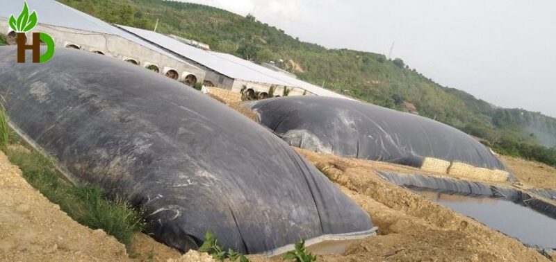 bạt nhựa chống thấm HDPE lót hầm biogas 5