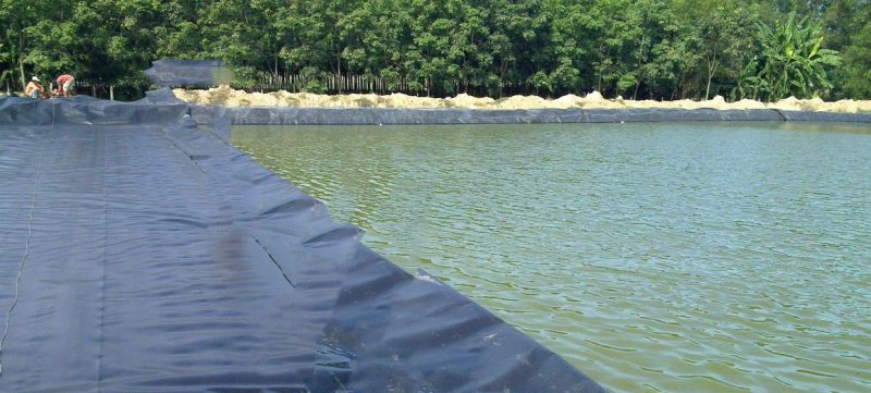 hồ nuôi thủy sản bằng bạt hdpe