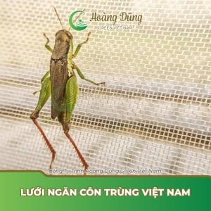 Lưới ngăn côn trùng Việt Nam