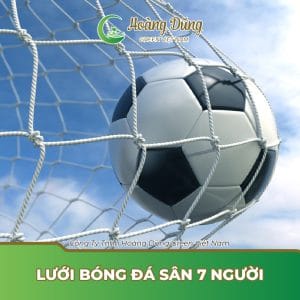 Lưới bóng đá mini sân 7 người