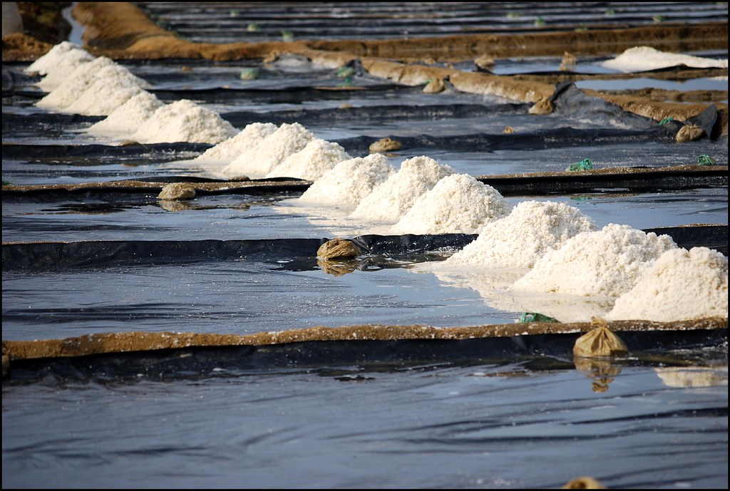 Ứng dụng bạt HDPE lót ruộng muối
