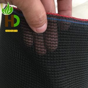 luoi che nang dai loan 2