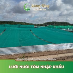 Lưới nuôi tôm nhập khẩu – Lưới che nắng cho hồ tôm