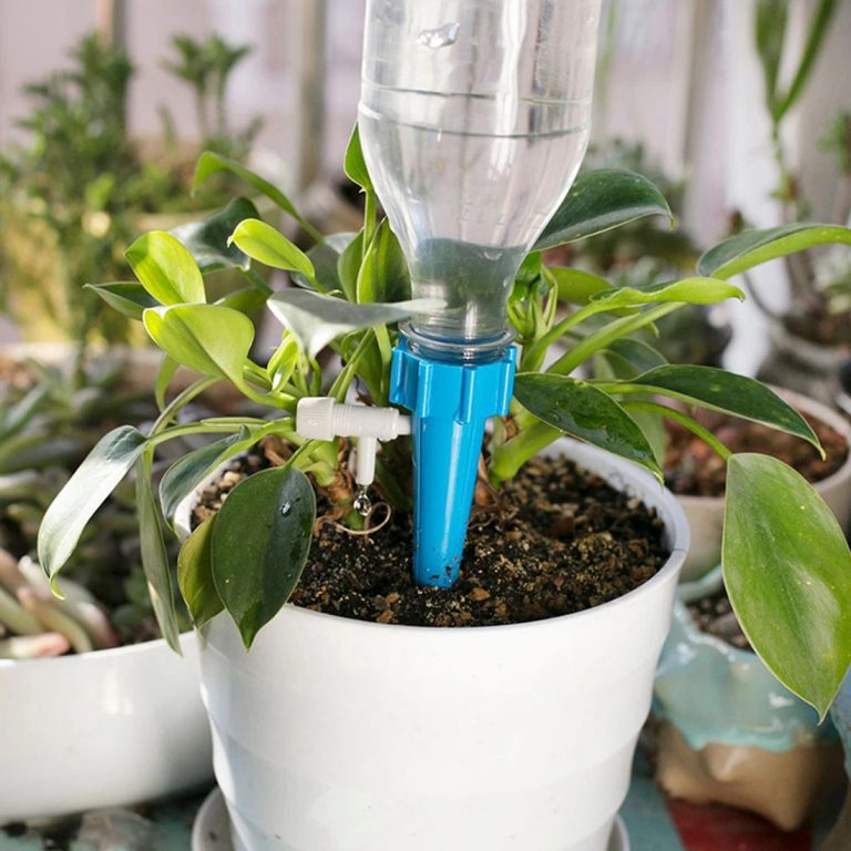Cách làm hệ thống tưới nước nhỏ giọt tự động phân phối nước cho cây