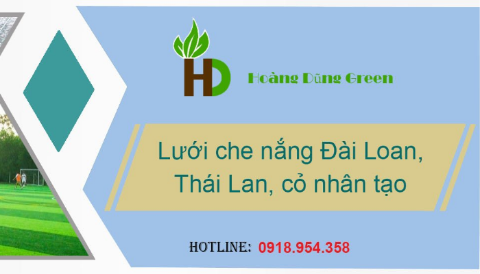 Hoang-Dung-Green-Tong-kho-luoi-Ha-Noi