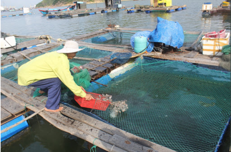 Lưới nuôi trồng thủy sản