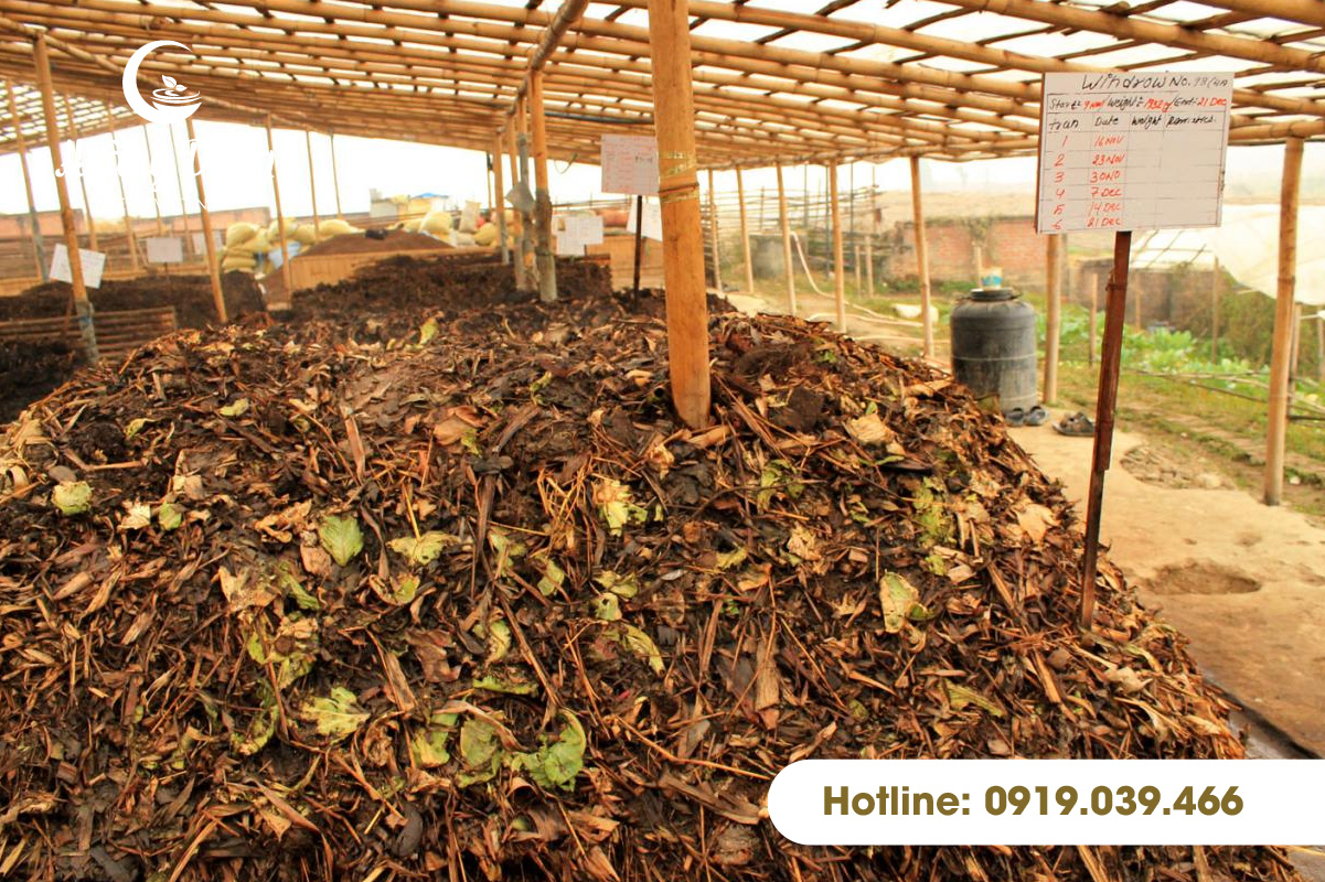 không được tưới Phân hữu cơ chưa lên men cho cây trồng