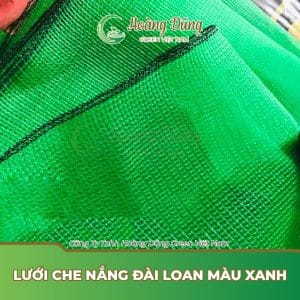 Lưới che nắng Đài Loan màu xanh