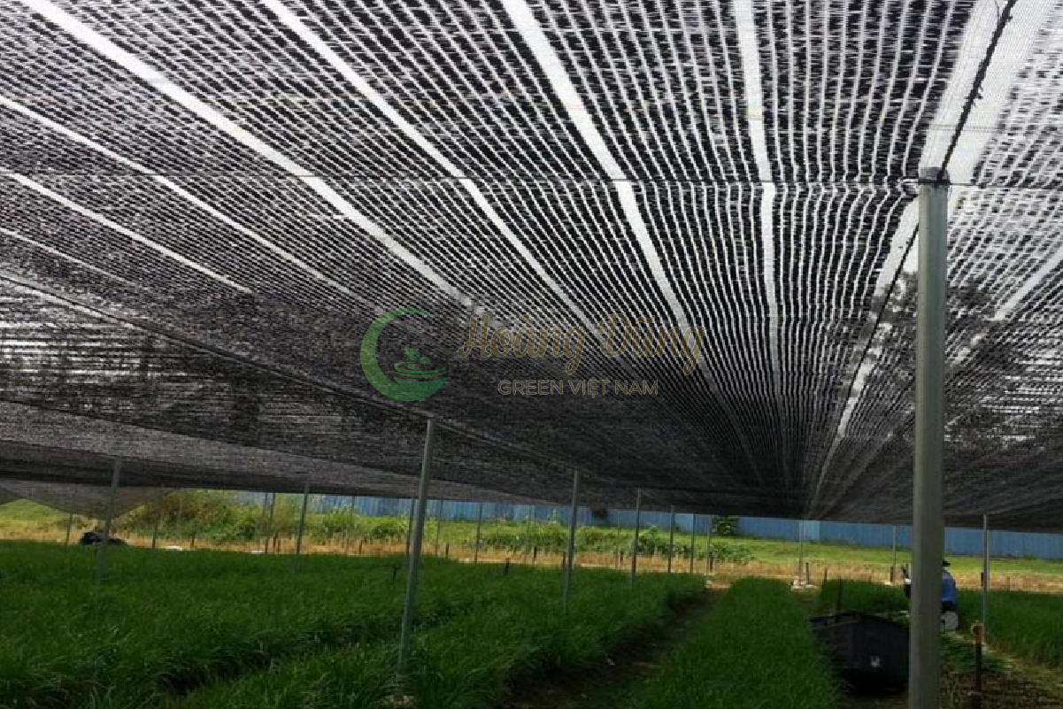 Một số tiêu chí ảnh hưởng đến giá lưới