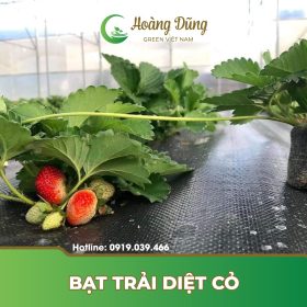 Bạt trải diệt cỏ