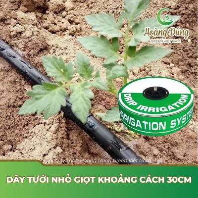 Dây tưới nhỏ giọt​ khoảng cách​ 30cm