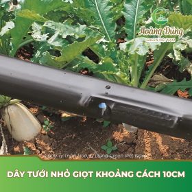 Dây tưới nhỏ giọt​ khoảng cách 10cm