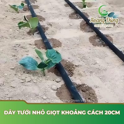 Dây tưới nhỏ giọt​ khoảng cách 20cm