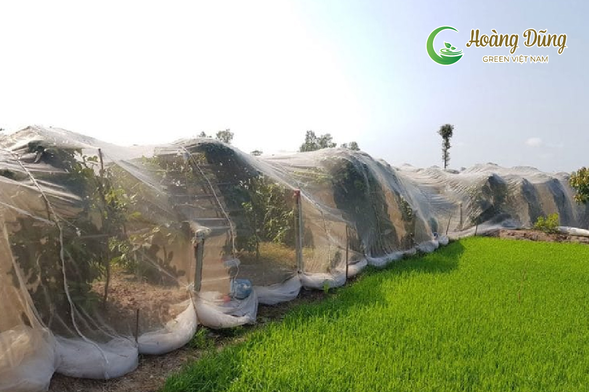 Lưới chắn côn trùng 25 mesh hạn chế gió