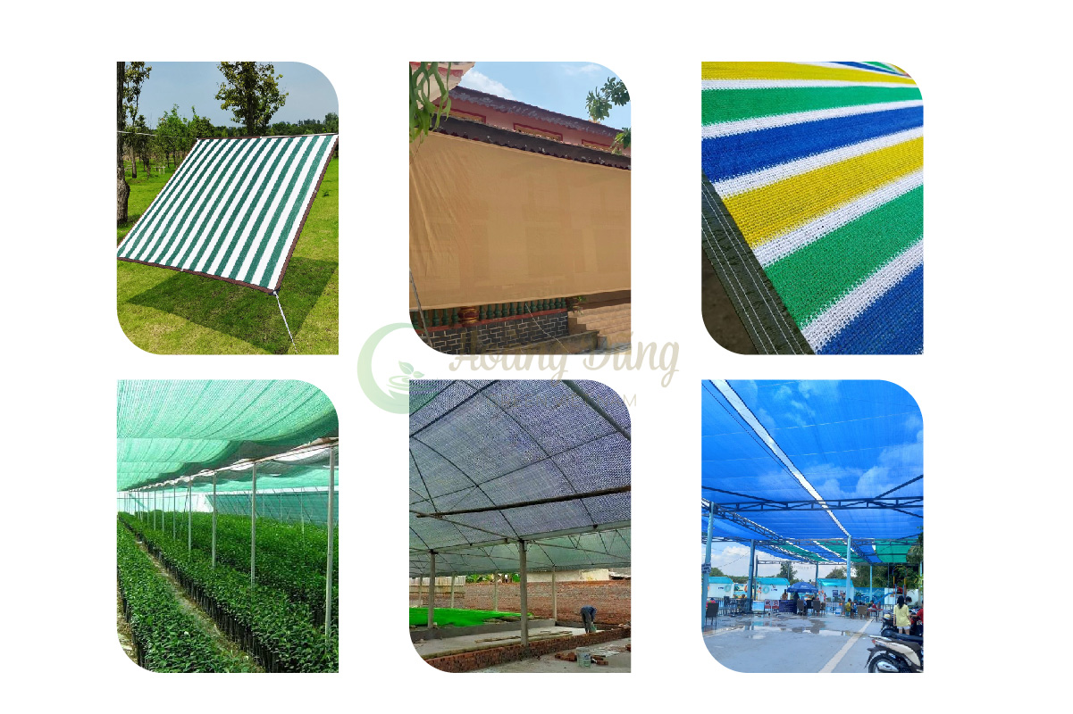 Tầm quan trọng của màu sắc lưới che nắng